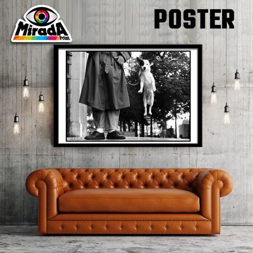 Foto autore photo - foto,